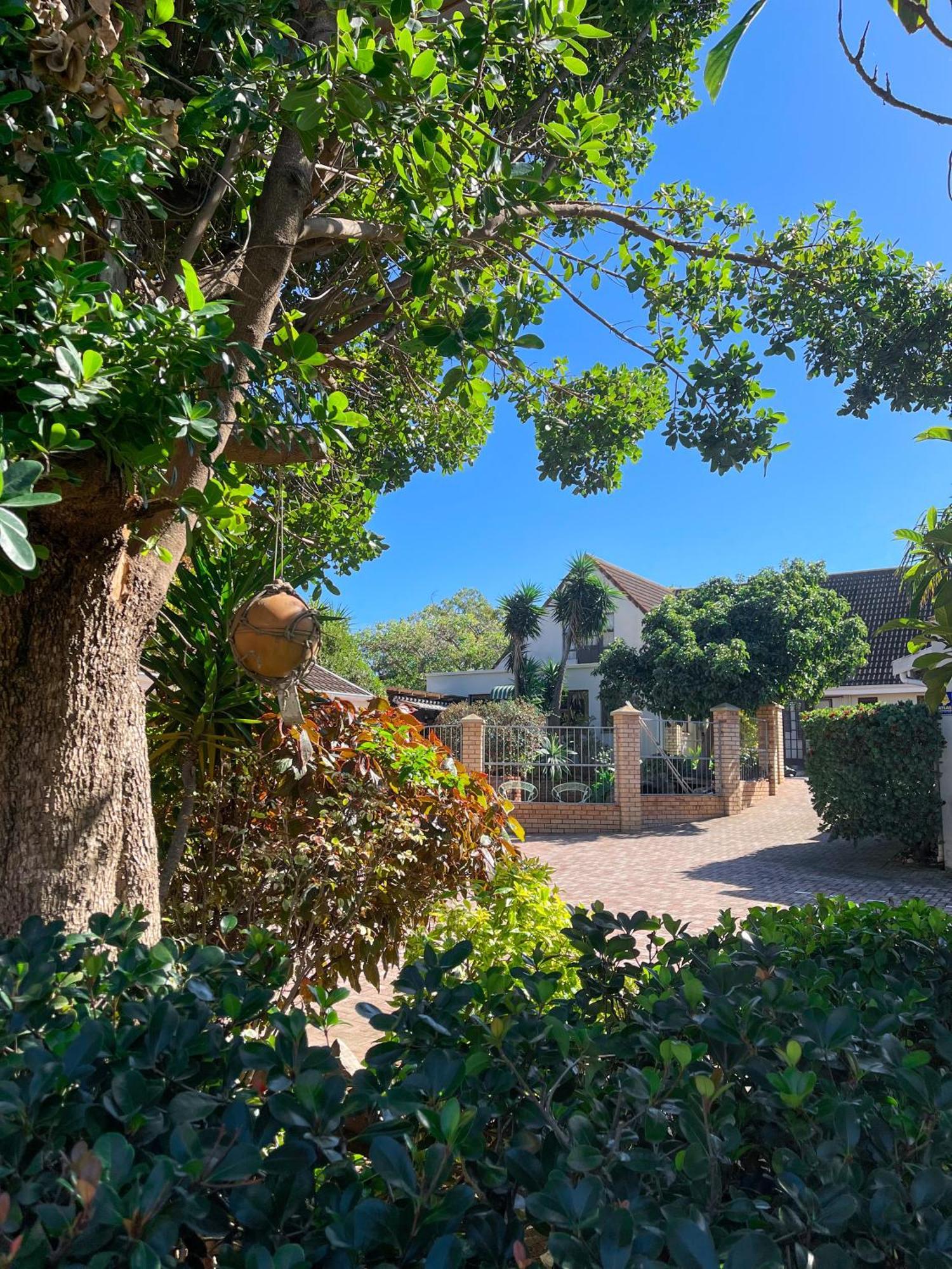Albert Road Garden Guest House Port Elizabeth Zewnętrze zdjęcie