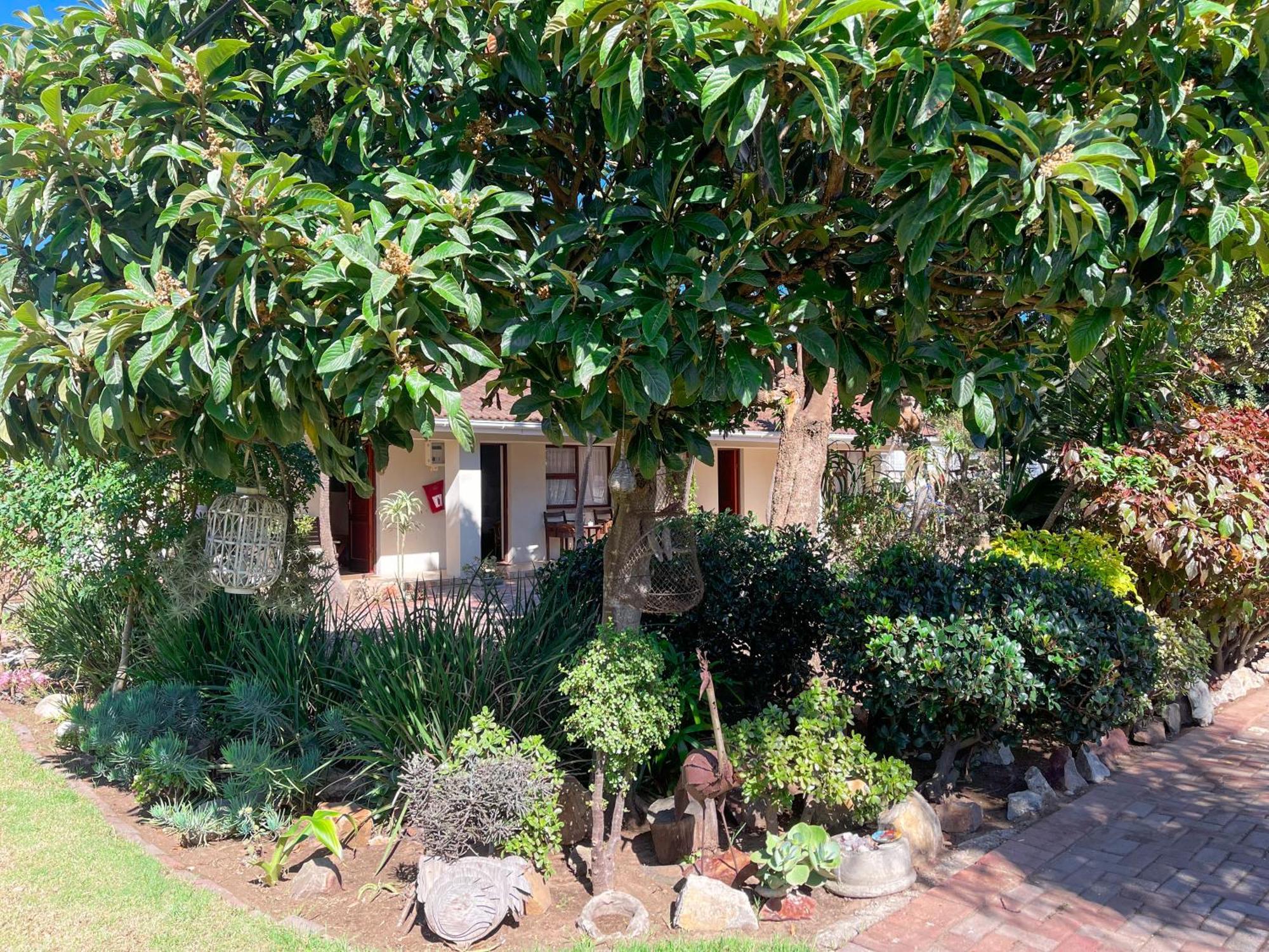 Albert Road Garden Guest House Port Elizabeth Zewnętrze zdjęcie