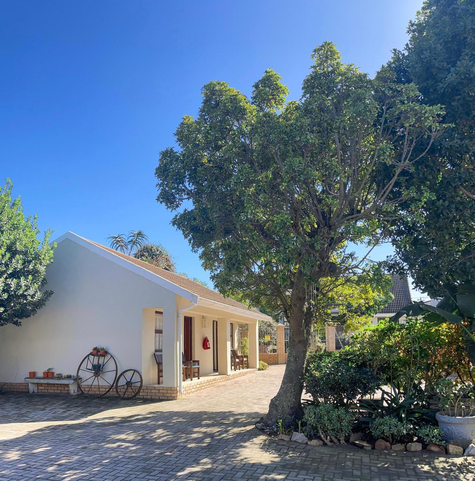 Albert Road Garden Guest House Port Elizabeth Zewnętrze zdjęcie