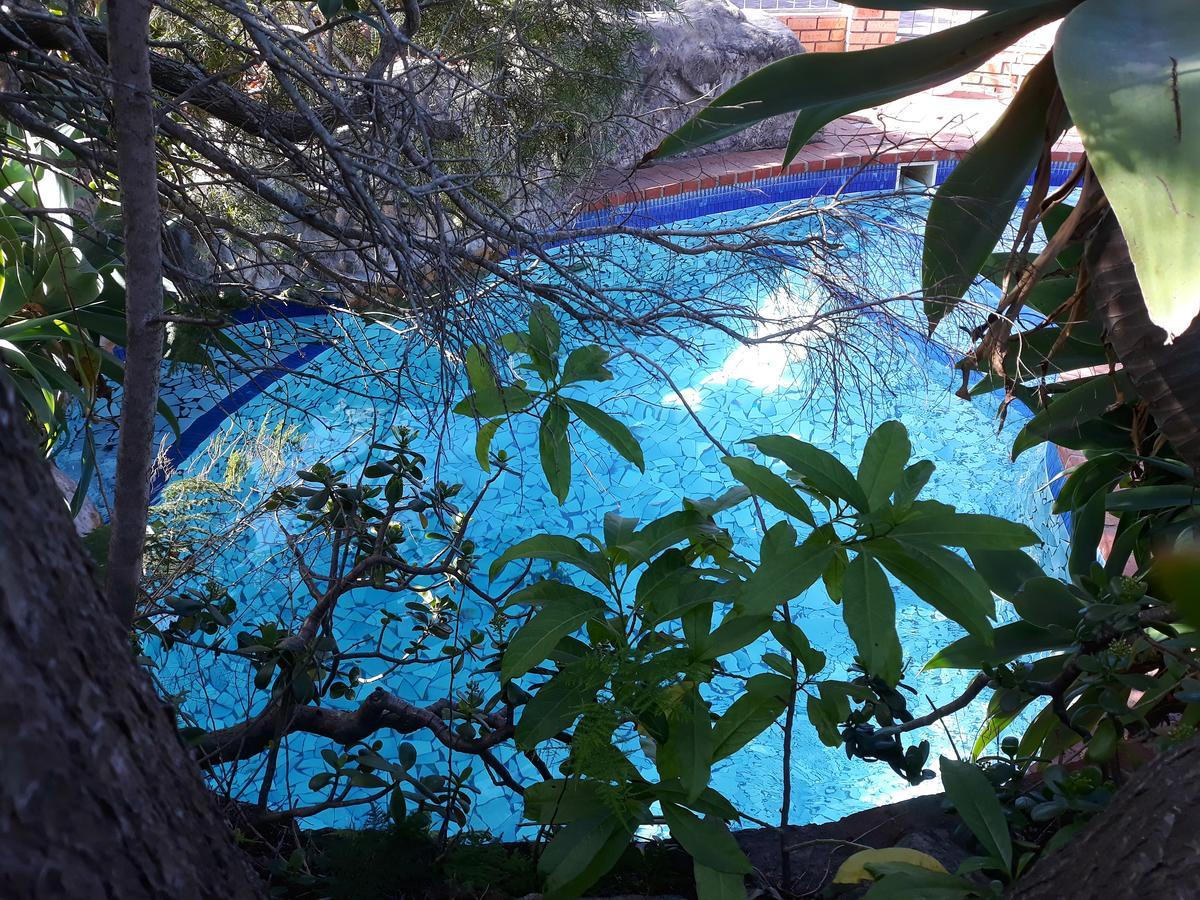 Albert Road Garden Guest House Port Elizabeth Zewnętrze zdjęcie